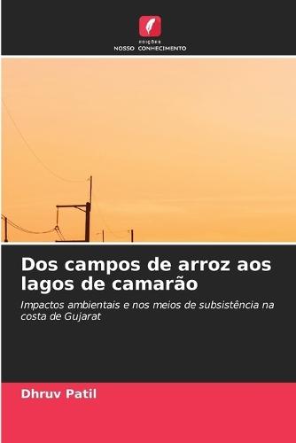 Dos campos de arroz aos lagos de camarão