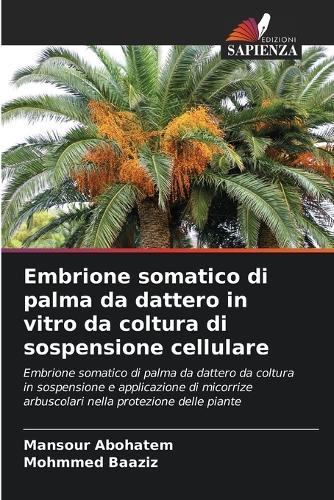 Embrione somatico di palma da dattero in vitro da coltura di sospensione cellulare