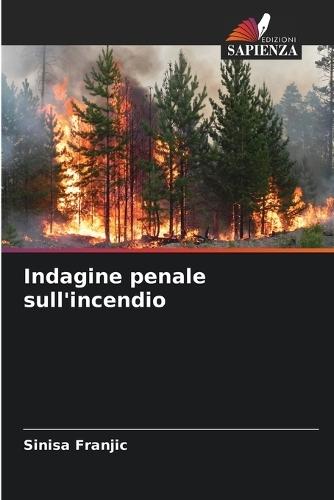 Indagine penale sull'incendio