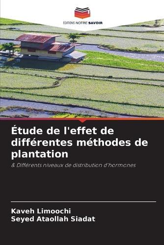Étude de l'effet de différentes méthodes de plantation