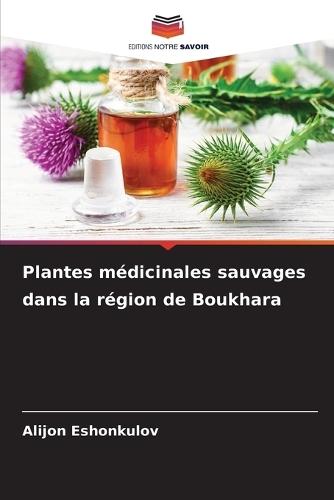 Plantes médicinales sauvages dans la région de Boukhara
