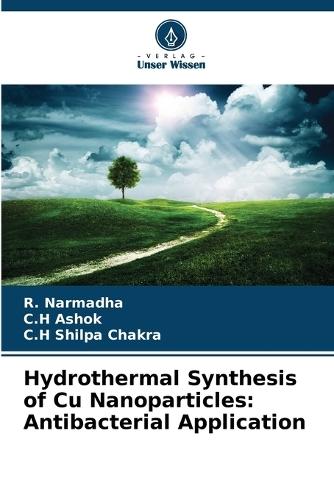 Hydrothermal Synthesis of Cu Nanoparticles: Antibacterial Application