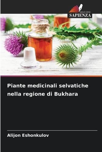 Piante medicinali selvatiche nella regione di Bukhara