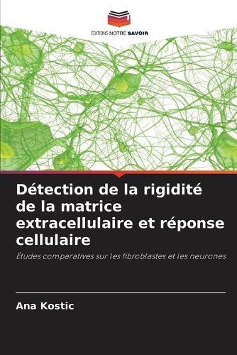 Détection de la rigidité de la matrice extracellulaire et réponse cellulaire
