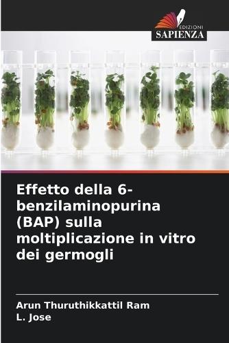 Effetto della 6-benzilaminopurina (BAP) sulla moltiplicazione in vitro dei germogli