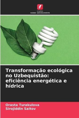 Transformação ecológica no Uzbequistão: eficiência energética e hídrica