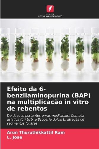 Efeito da 6-benzilaminopurina (BAP) na multiplicação in vitro de rebentos