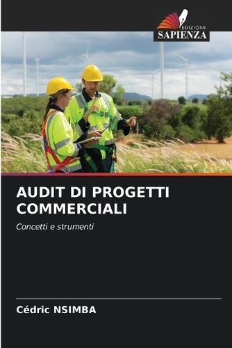 Audit Di Progetti Commerciali