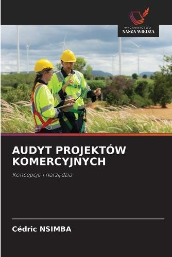 Audyt Projektów Komercyjnych