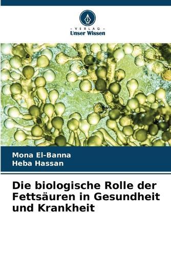 Die biologische Rolle der Fettsäuren in Gesundheit und Krankheit