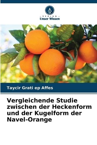 Vergleichende Studie zwischen der Heckenform und der Kugelform der Navel-Orange