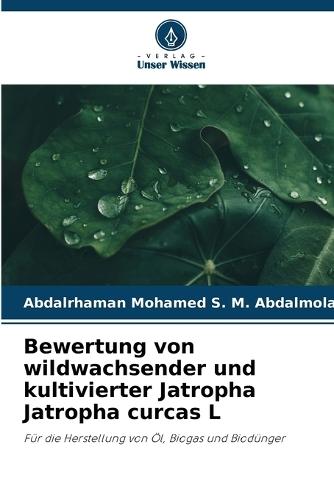 Bewertung von wildwachsender und kultivierter Jatropha Jatropha curcas L