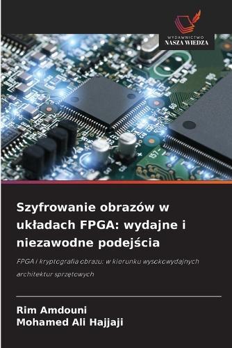 Szyfrowanie obrazów w ukladach FPGA: wydajne i niezawodne podejścia
