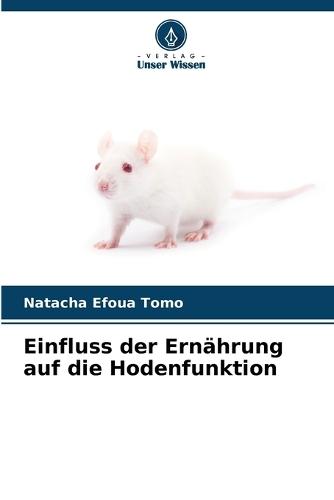 Einfluss der Ernährung auf die Hodenfunktion