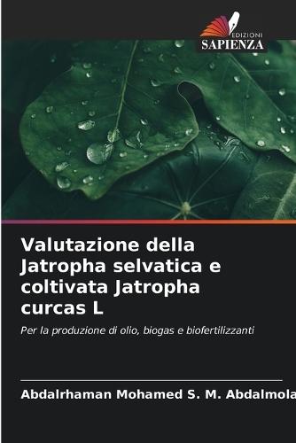 Valutazione della Jatropha selvatica e coltivata Jatropha curcas L