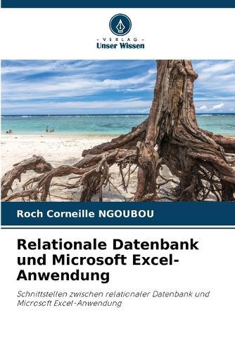Relationale Datenbank und Microsoft Excel-Anwendung