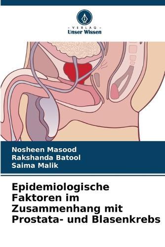 Epidemiologische Faktoren im Zusammenhang mit Prostata- und Blasenkrebs