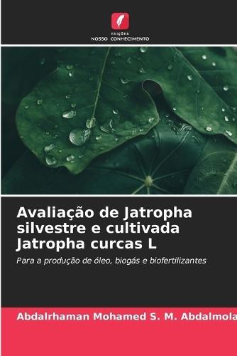 Avaliação de Jatropha silvestre e cultivada Jatropha curcas L