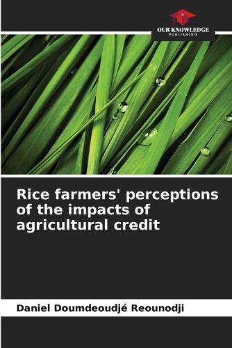 Rice farmers' perceptions of the impacts of agricultural credit