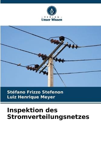 Inspektion des Stromverteilungsnetzes