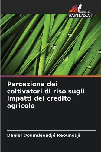 Percezione dei coltivatori di riso sugli impatti del credito agricolo