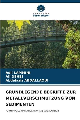 Grundlegende Begriffe Zur Metallverschmutzung Von Sedimenten