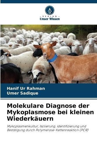Molekulare Diagnose der Mykoplasmose bei kleinen Wiederkäuern