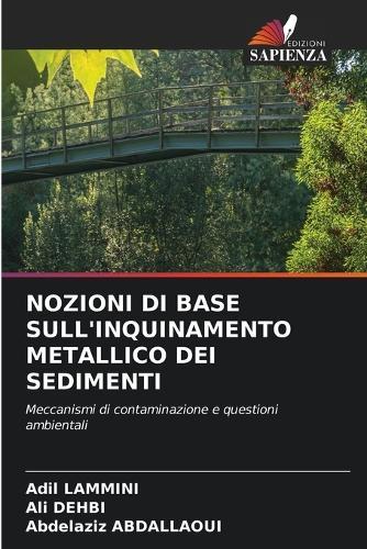 Nozioni Di Base Sull'inquinamento Metallico Dei Sedimenti