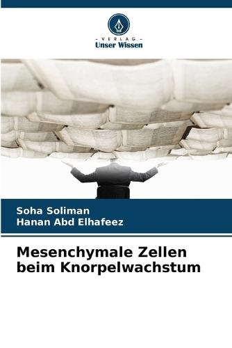 Mesenchymale Zellen beim Knorpelwachstum