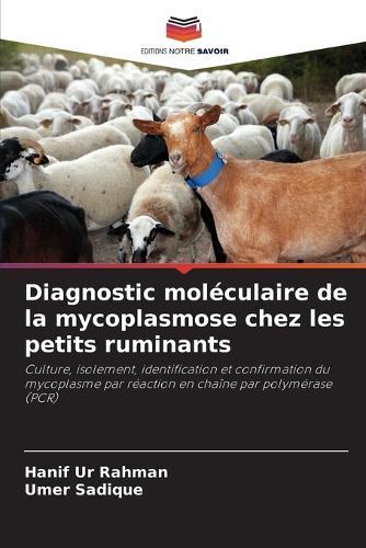 Diagnostic moléculaire de la mycoplasmose chez les petits ruminants