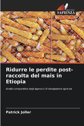 Ridurre le perdite post-raccolta del mais in Etiopia