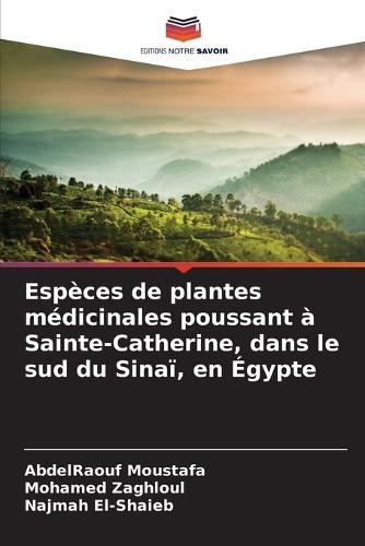 Espèces de plantes médicinales poussant à Sainte-Catherine, dans le sud du Sinaï, en Égypte