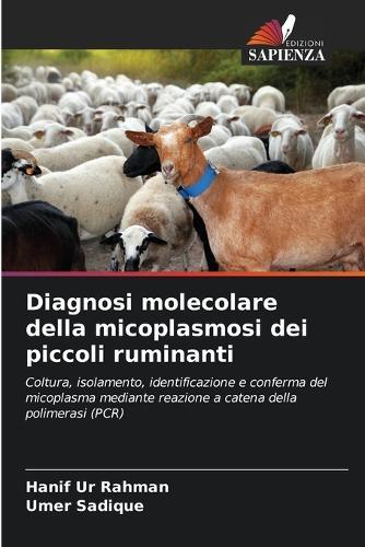 Diagnosi molecolare della micoplasmosi dei piccoli ruminanti