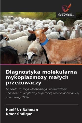 Diagnostyka molekularna mykoplazmozy malych przeżuwaczy