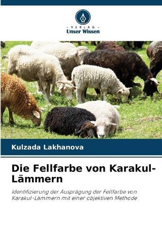 Die Fellfarbe von Karakul-Lämmern