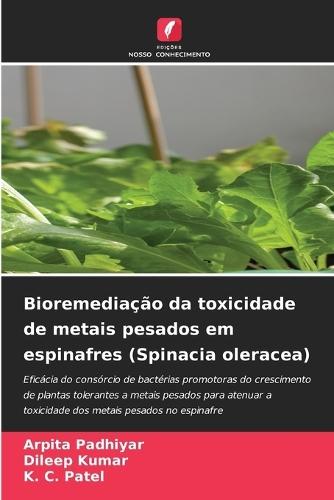 Bioremediação da toxicidade de metais pesados em espinafres (Spinacia oleracea)