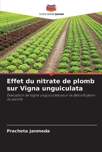 Effet du nitrate de plomb sur Vigna unguiculata