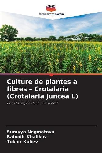 Culture de plantes à fibres - Crotalaria (Crotalaria juncea L)