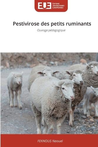 Pestivirose des petits ruminants