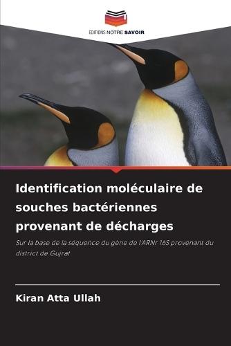 Identification moléculaire de souches bactériennes provenant de décharges
