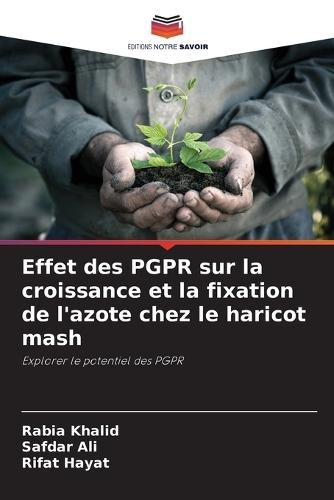Effet des PGPR sur la croissance et la fixation de l'azote chez le haricot mash