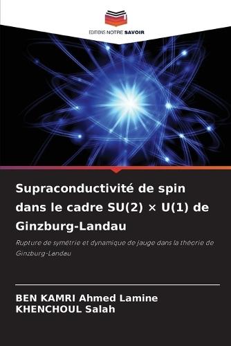 Supraconductivité de spin dans le cadre SU(2) × U(1) de Ginzburg-Landau