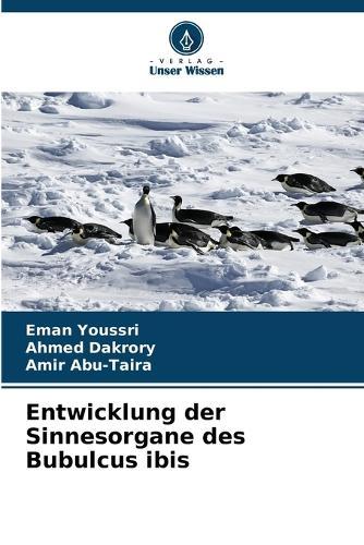Entwicklung der Sinnesorgane des Bubulcus ibis