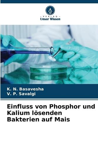 Einfluss von Phosphor und Kalium lösenden Bakterien auf Mais