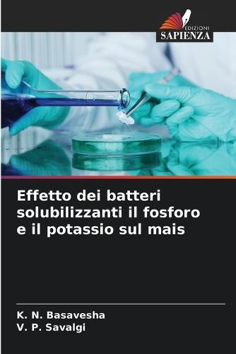 Effetto dei batteri solubilizzanti il fosforo e il potassio sul mais