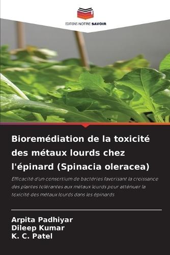 Bioremédiation de la toxicité des métaux lourds chez l'épinard (Spinacia oleracea)