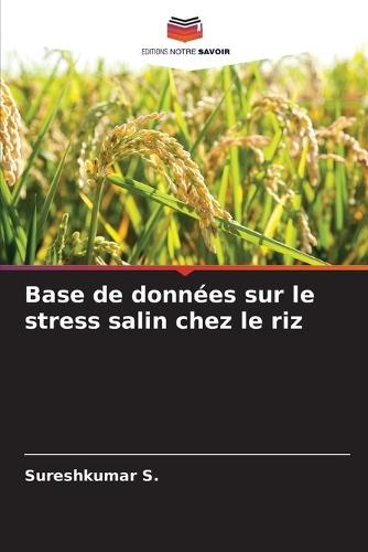 Base de données sur le stress salin chez le riz
