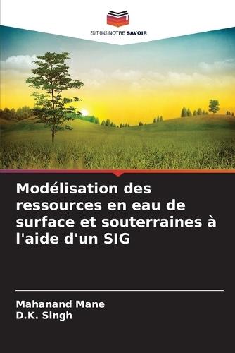 Modélisation des ressources en eau de surface et souterraines à l'aide d'un SIG