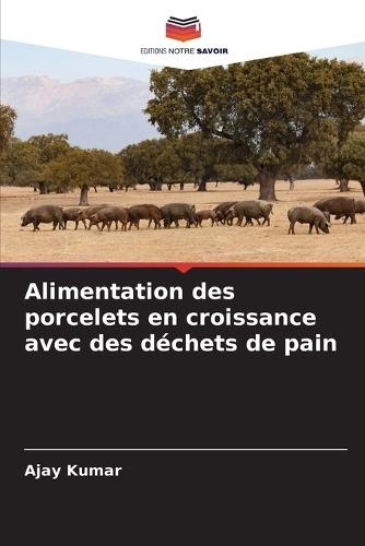 Alimentation des porcelets en croissance avec des déchets de pain