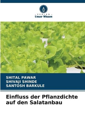 Einfluss der Pflanzdichte auf den Salatanbau
